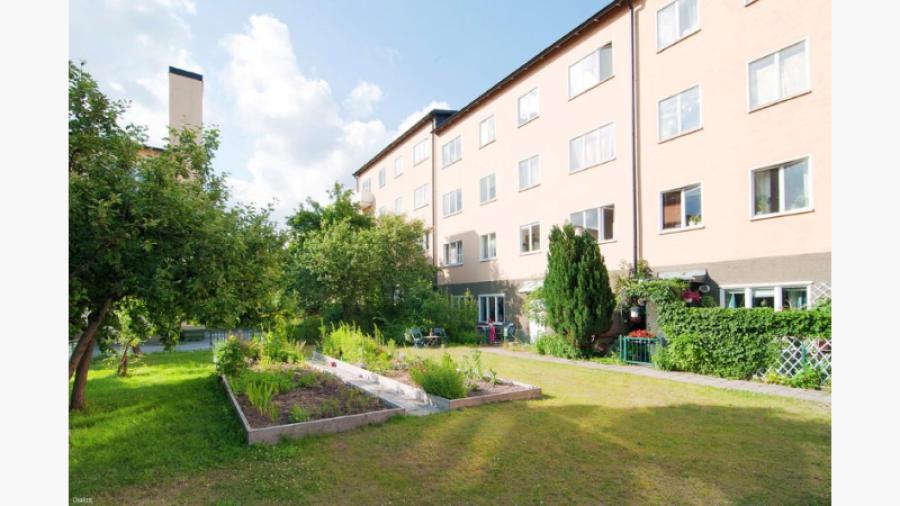Gården med fruktträd och odlingslotter för de boende.